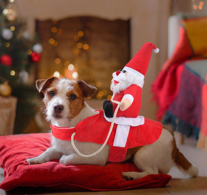BowLift | SantaPaw™ Holiday Spirit for Pets
