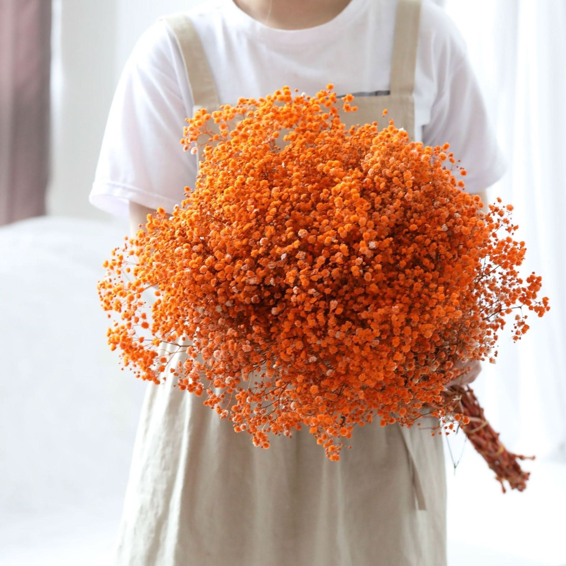 BowLift | Dried Preserved Gypsophila Flower Bouquet – Natural Decor