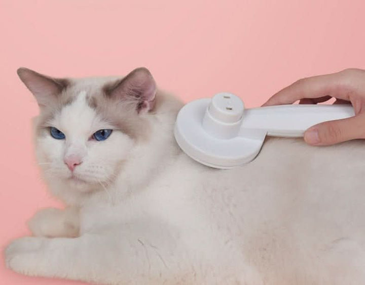 BowLift | SELFCLEAN BRUSH – Self-cleaning cat brush for less hair loss & clean coat