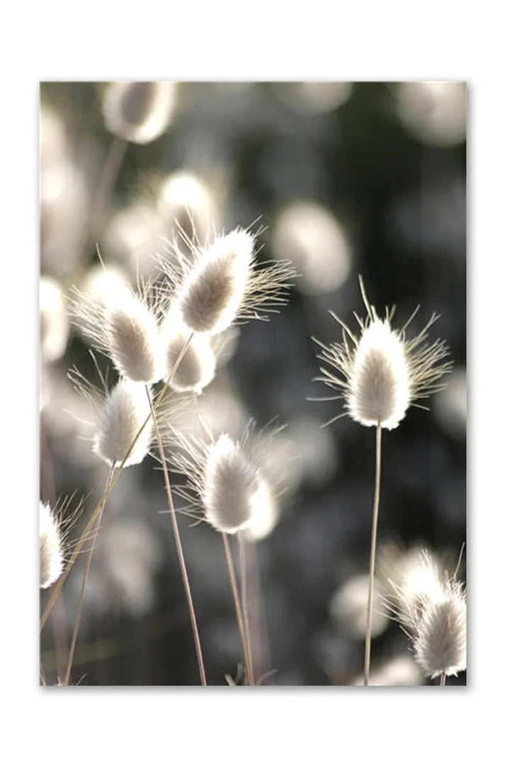 Academy Nordic Nature Canvas Poster | Bowlift
