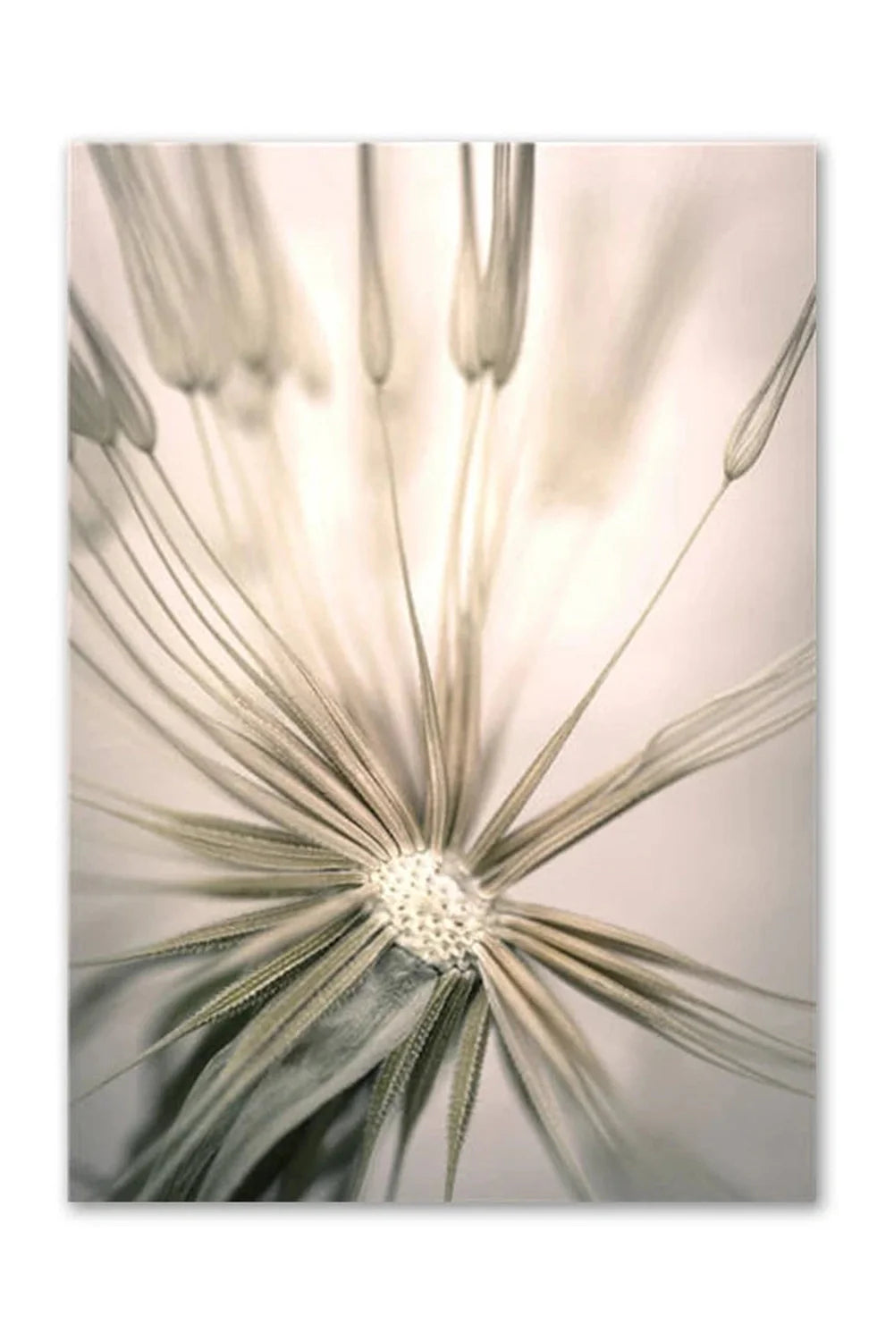 Academy Nordic Nature Canvas Poster | Bowlift