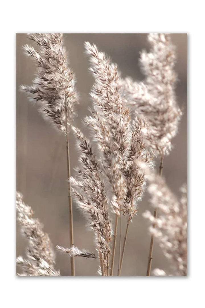 Academy Nordic Nature Canvas Poster | Bowlift