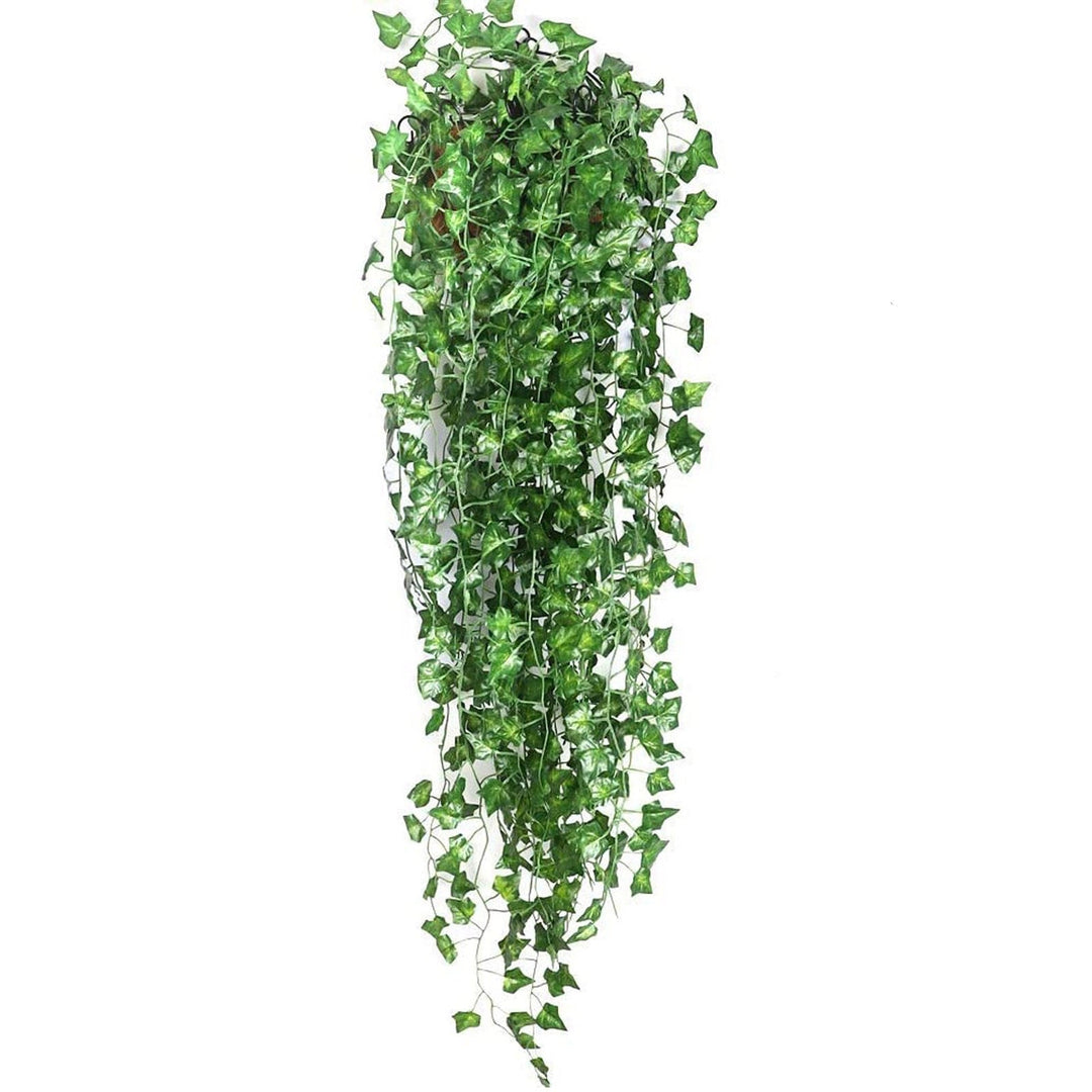 BowLift | Eindhoven Evergreen | Regardless of the season, your leaves are vivid and green!