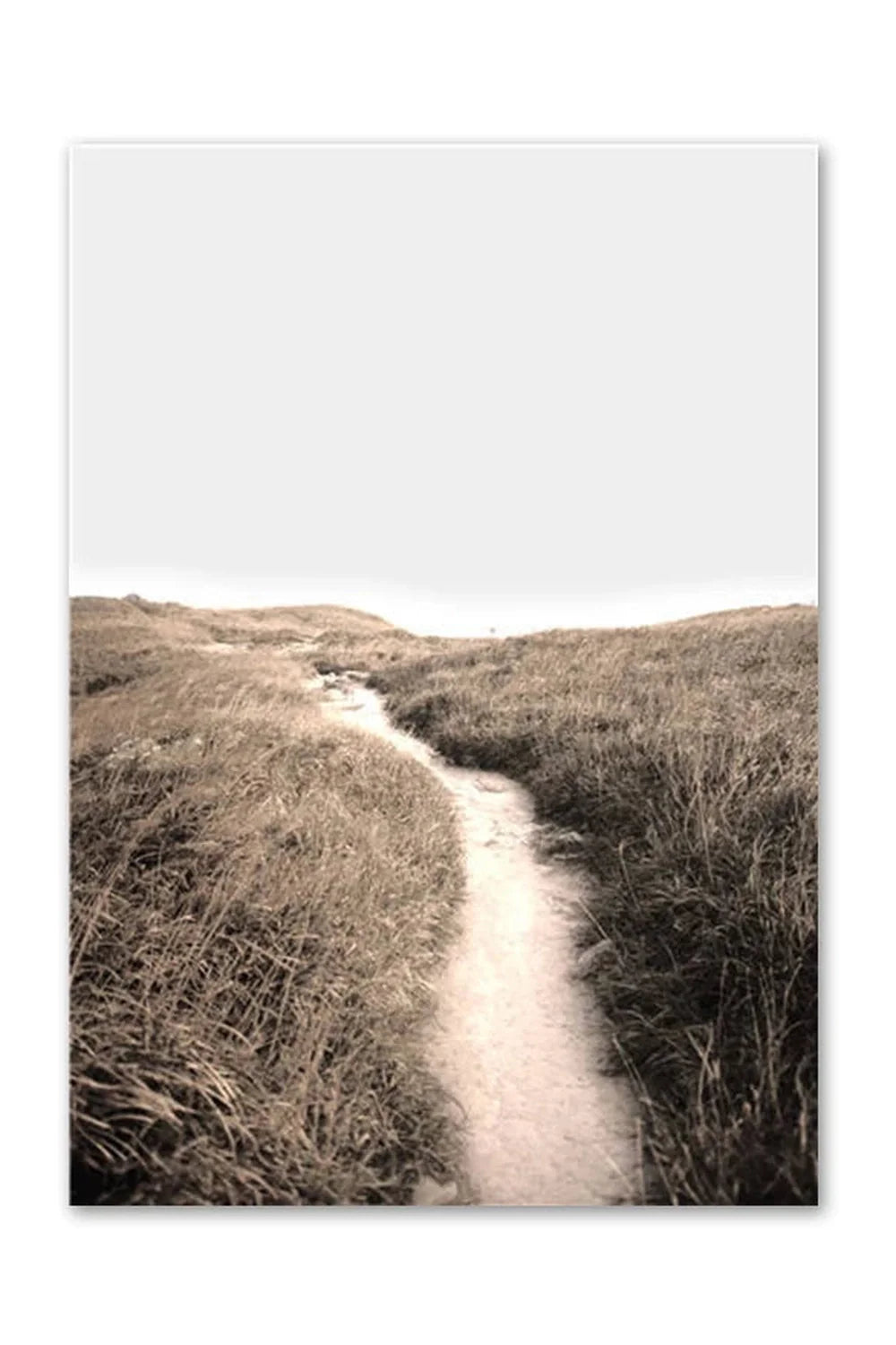 Academy Nordic Nature Canvas Poster | Bowlift