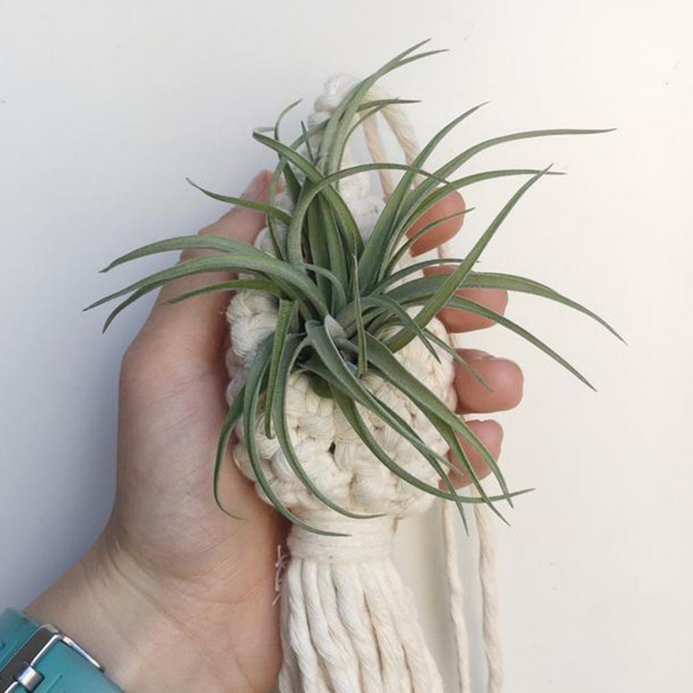 BowLift | Handmade Macrame Plant Hanger – Decorative Suspension for Plants in Boho Style