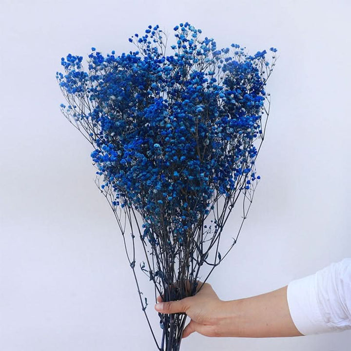 BowLift | Dried Preserved Gypsophila Flower Bouquet – Natural Decor
