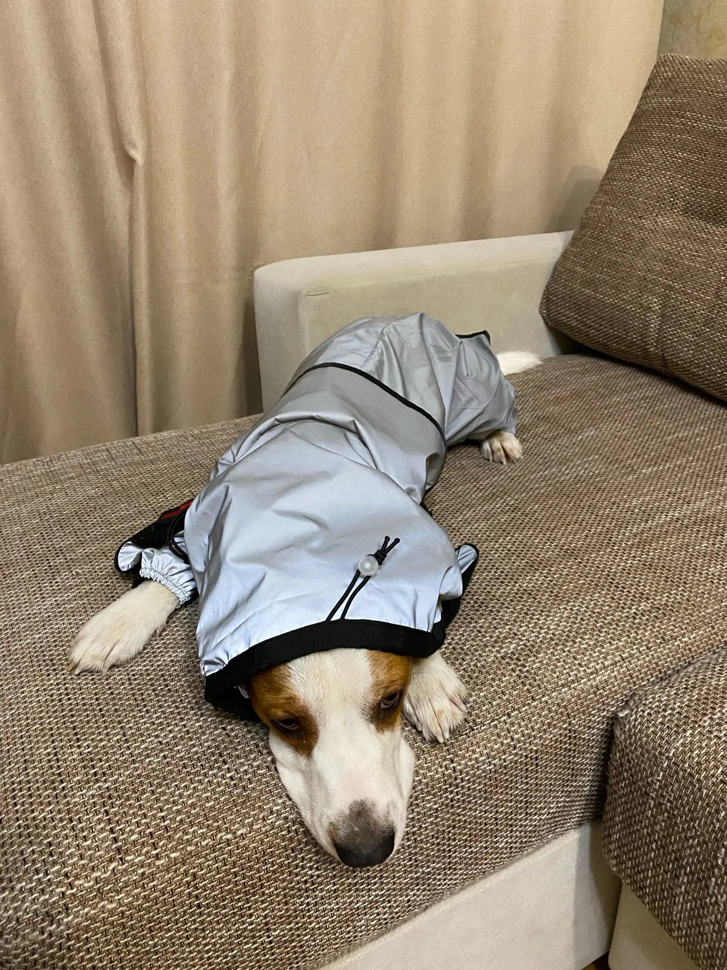 WeatherGuard  • Dog Waterproof Raincoat