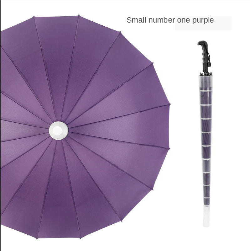 Minimalist Long Handle Automatic Umbrella | Bowlift