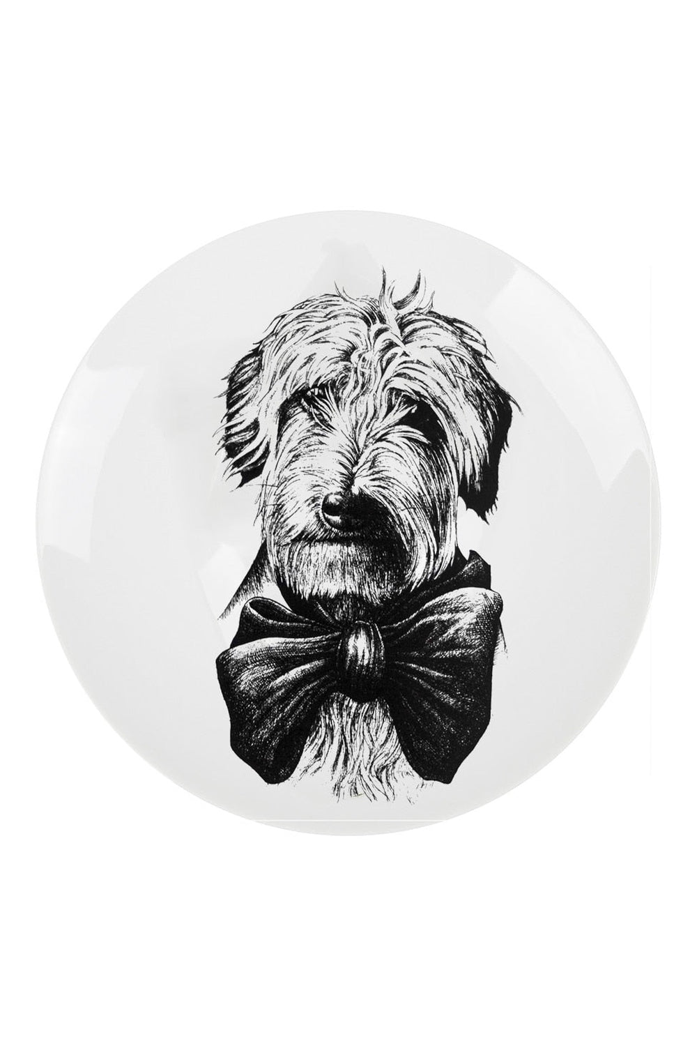 Dobner Artistic Plates | Bowlift
