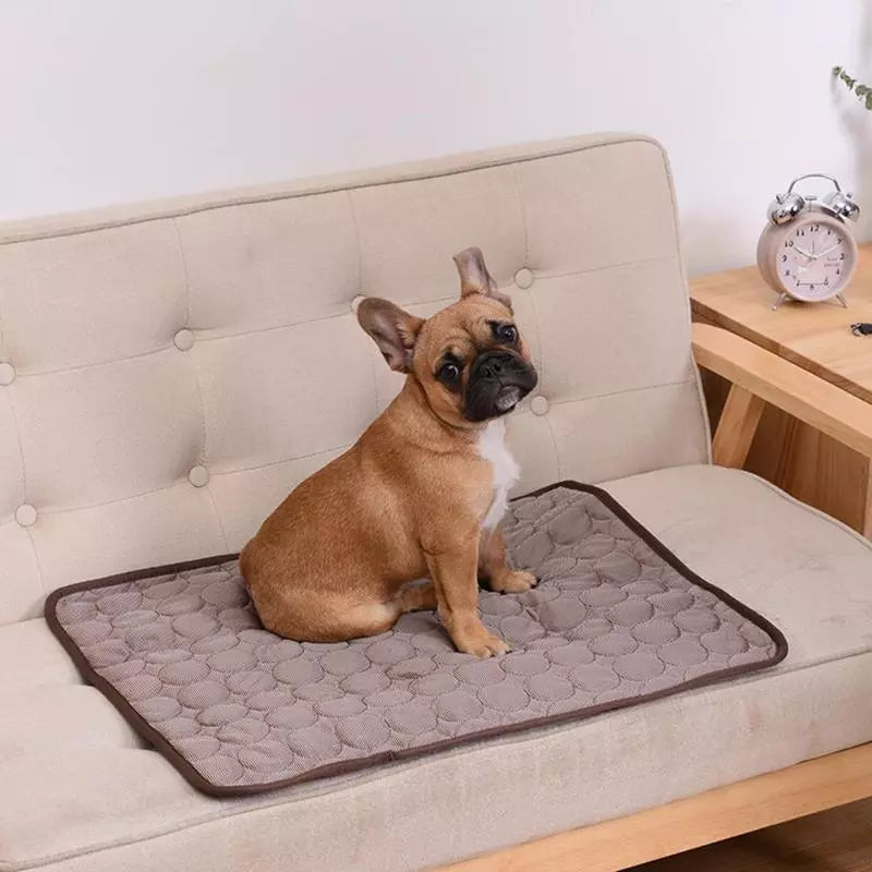 Summer Cooling Dog Mat: Breathable Pad for Dogs and Cats - Washable Pet Bed Blanket for Small, Medium, and Large Dogs, Ideal for Cars | Bowlift