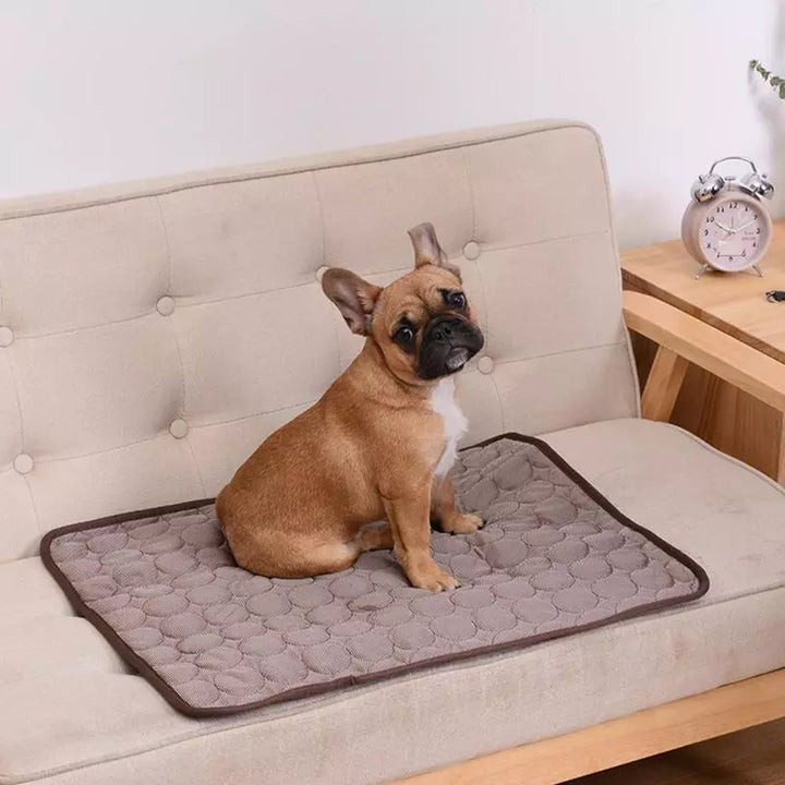 Summer Cooling Dog Mat: Breathable Pad for Dogs and Cats - Washable Pet Bed Blanket for Small, Medium, and Large Dogs, Ideal for Cars | Bowlift