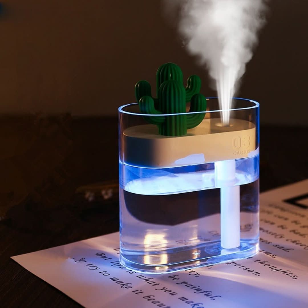 BowLift | Ultrasound quiet air humidifier Cactus