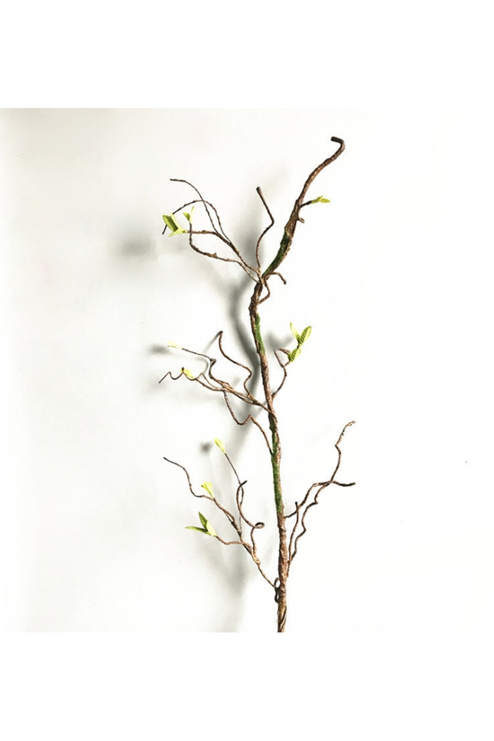 Flower Vine Wall Decoration | Bowlift