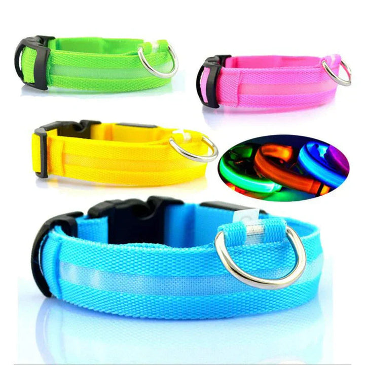 BowLift | GlowPets LED Collar – Safety & Visibility for Pets