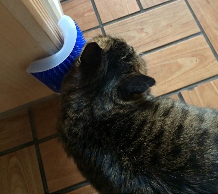 BowLift | Cat Self Groomer Brush