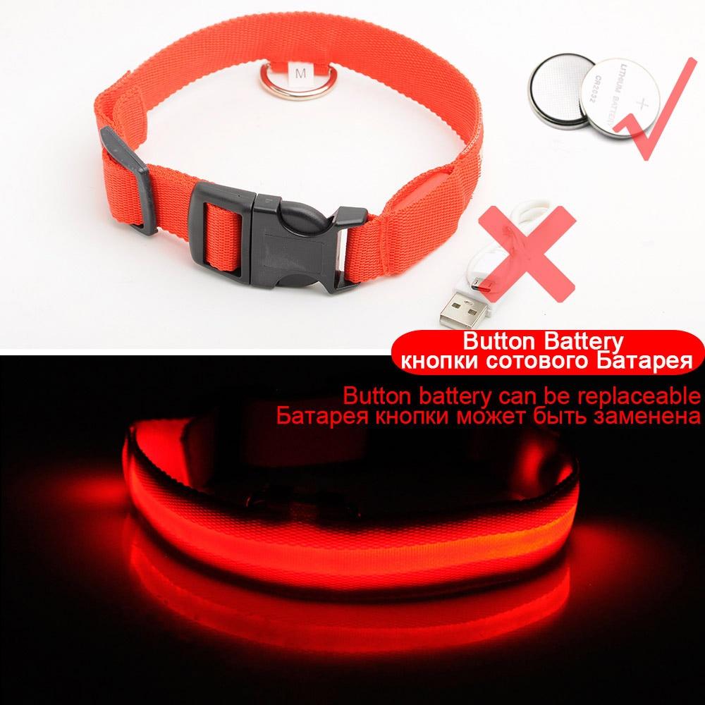 BowLift | Light Up Dog Collar - Flashing Dog Collar