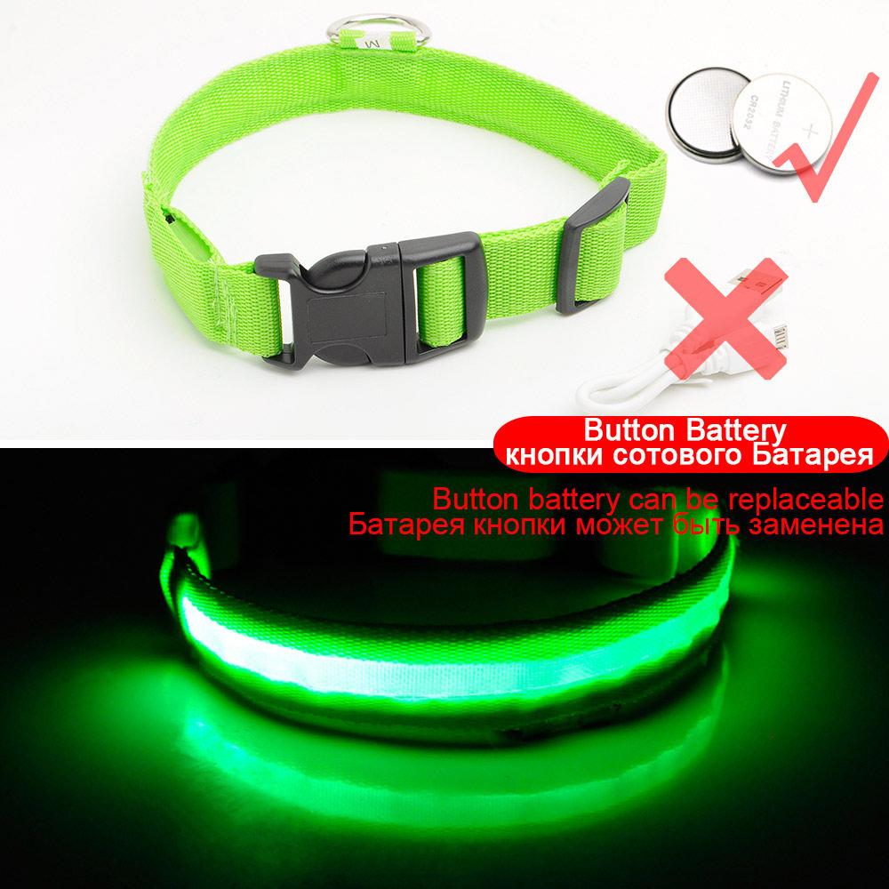 BowLift | Light Up Dog Collar - Flashing Dog Collar