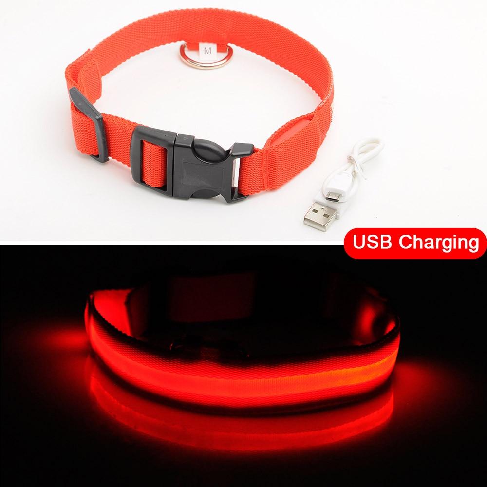 BowLift | Light Up Dog Collar - Flashing Dog Collar