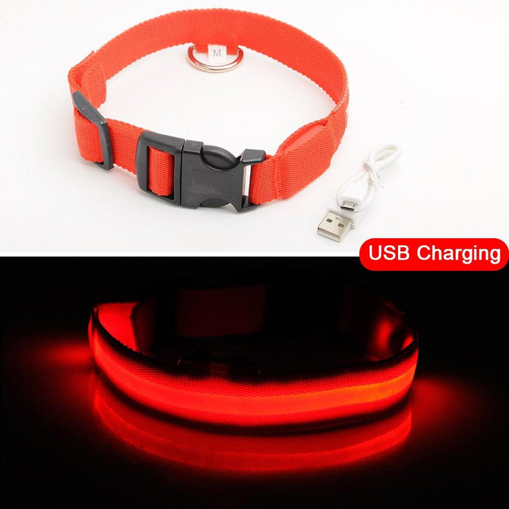 BowLift | Light Up Dog Collar - Flashing Dog Collar