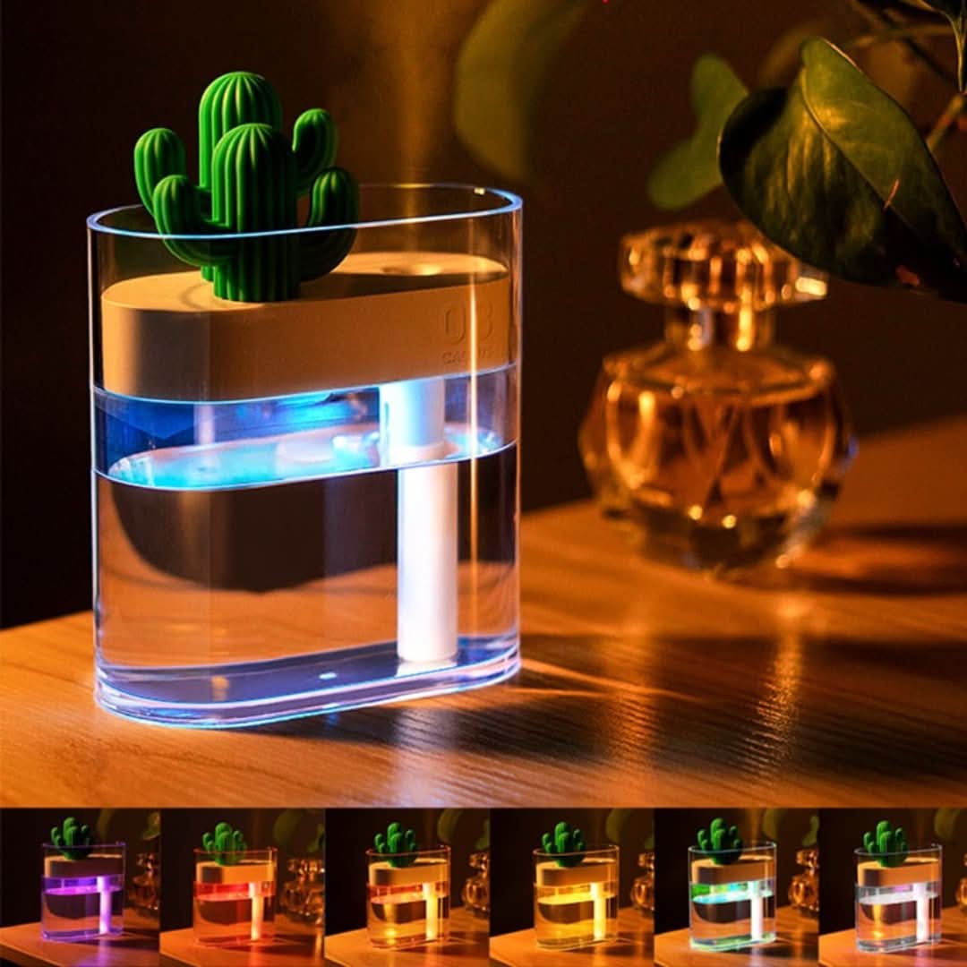 BowLift | Ultrasound quiet air humidifier Cactus