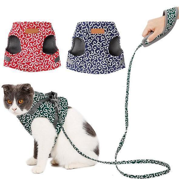 Collar jacket and leash for cat | Bowlift