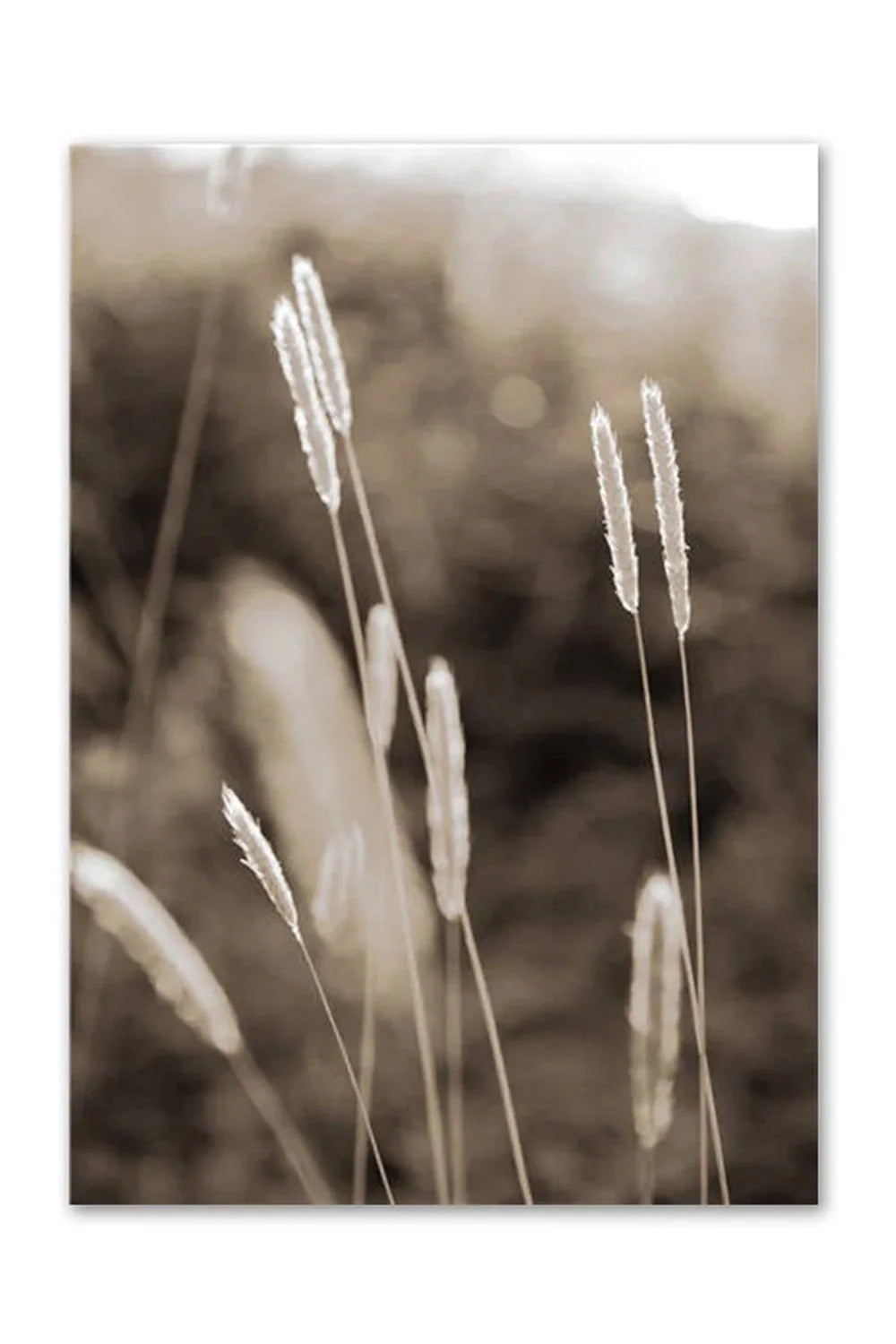 Academy Nordic Nature Canvas Poster | Bowlift