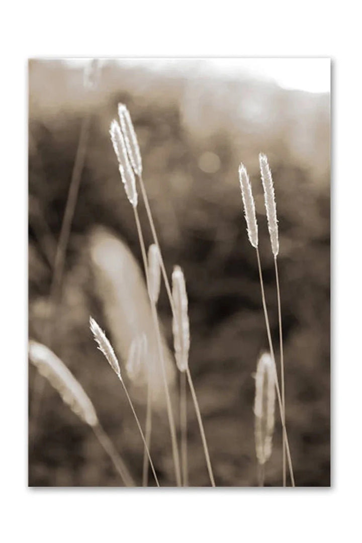 Academy Nordic Nature Canvas Poster | Bowlift