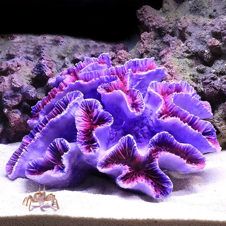BowLift | Vibrant Resin Coral Reef Decor for Aquariums