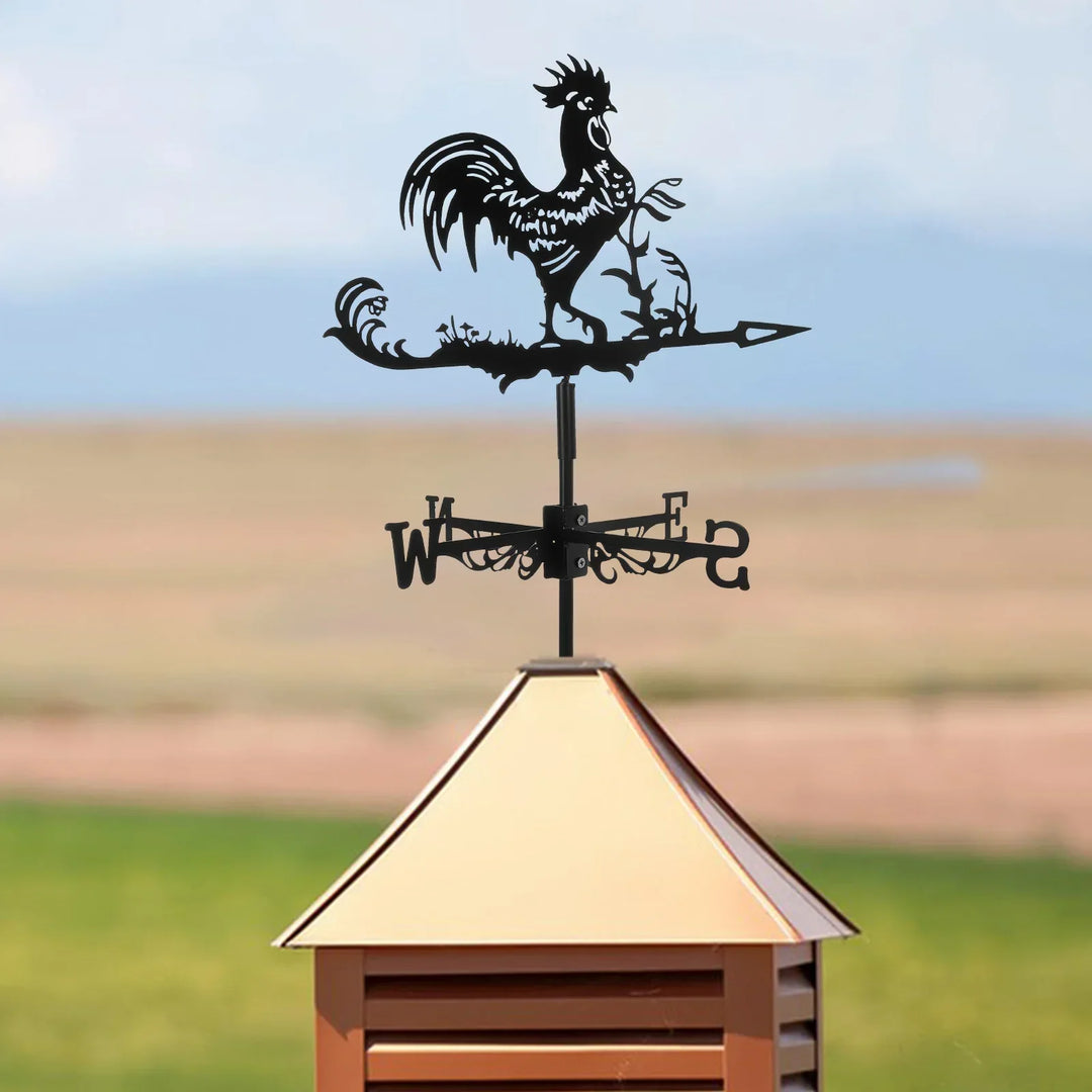 BowLift | Protective Rooster Weather Vane