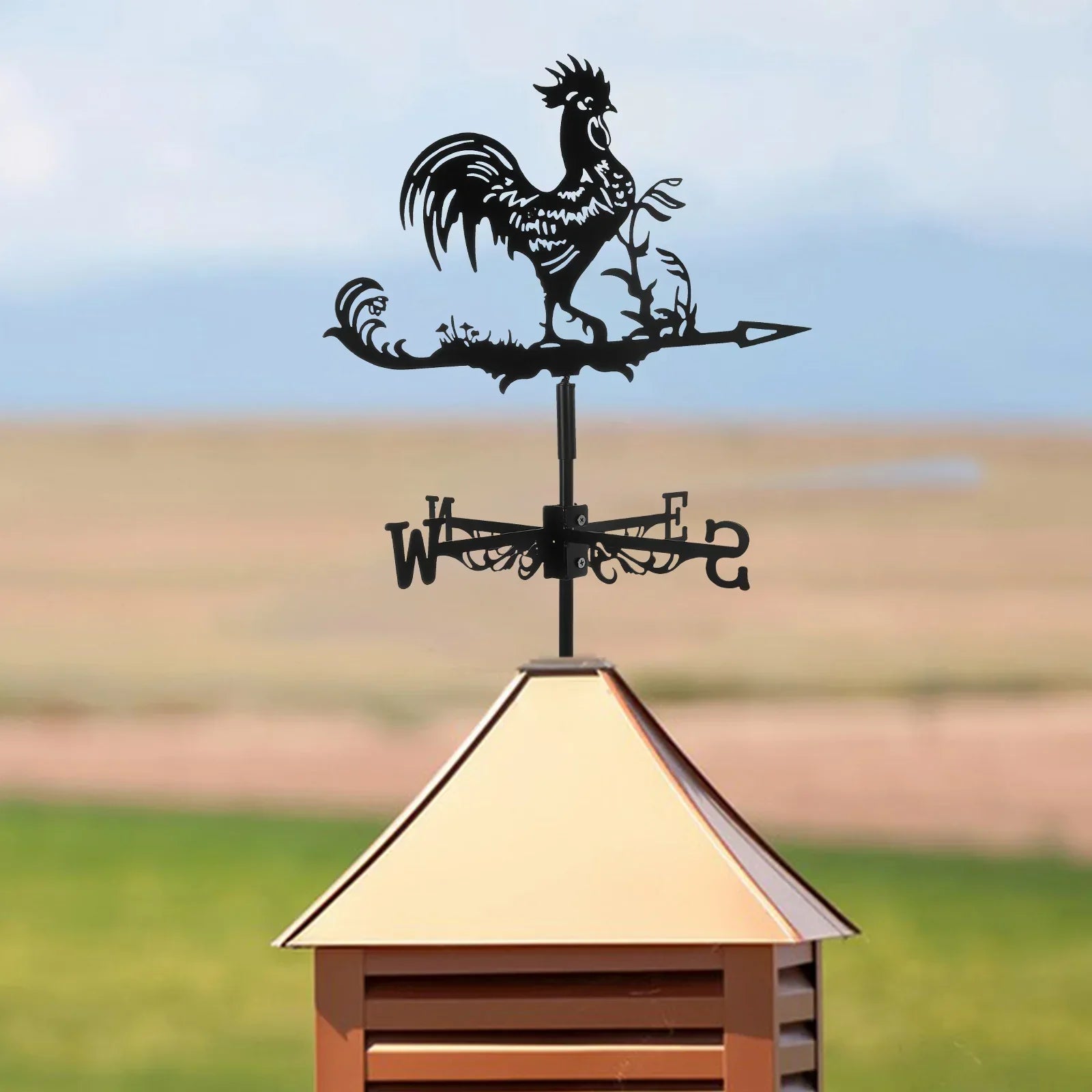 BowLift | Protective Rooster Weather Vane