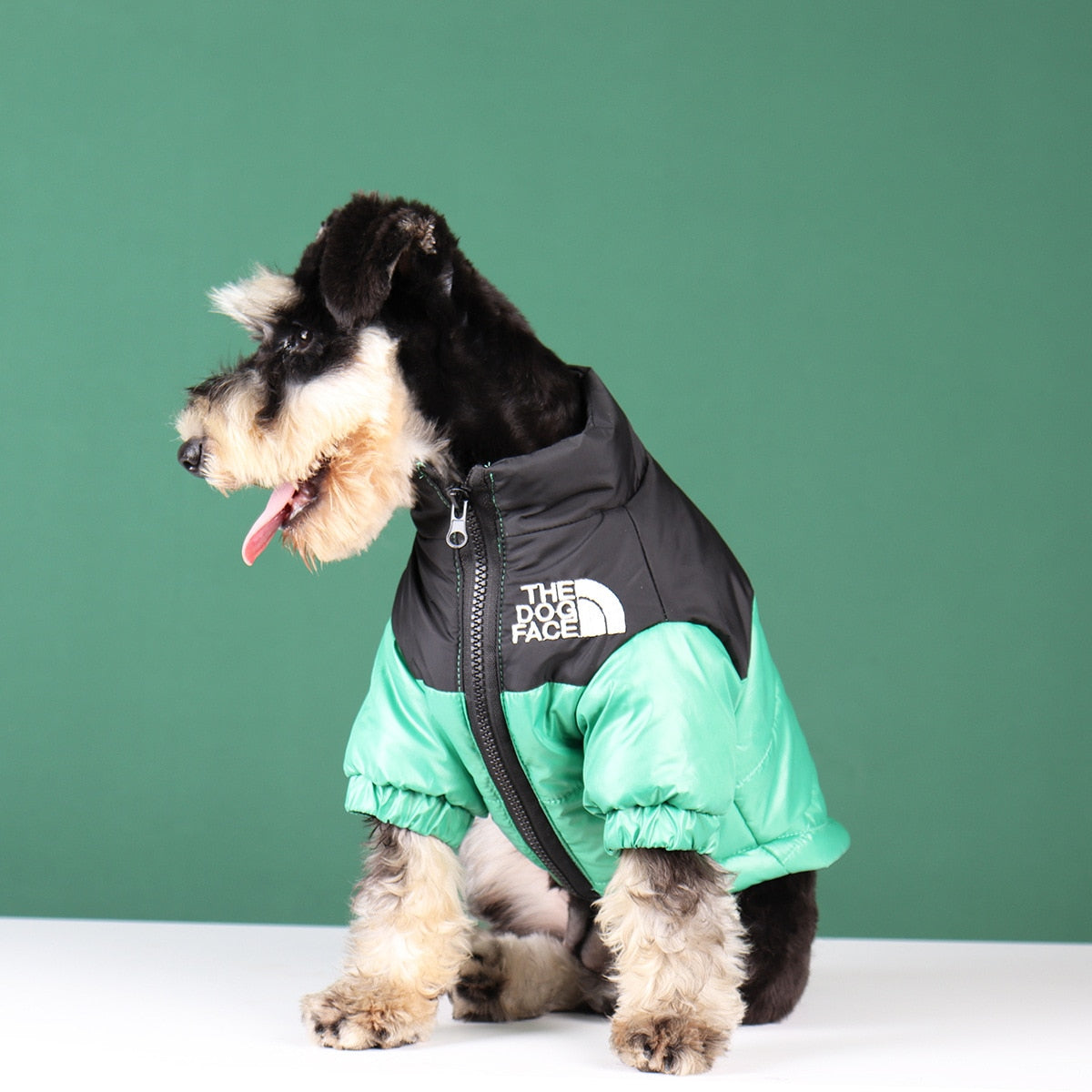BowLift | The Dog Face Jacket - Type A