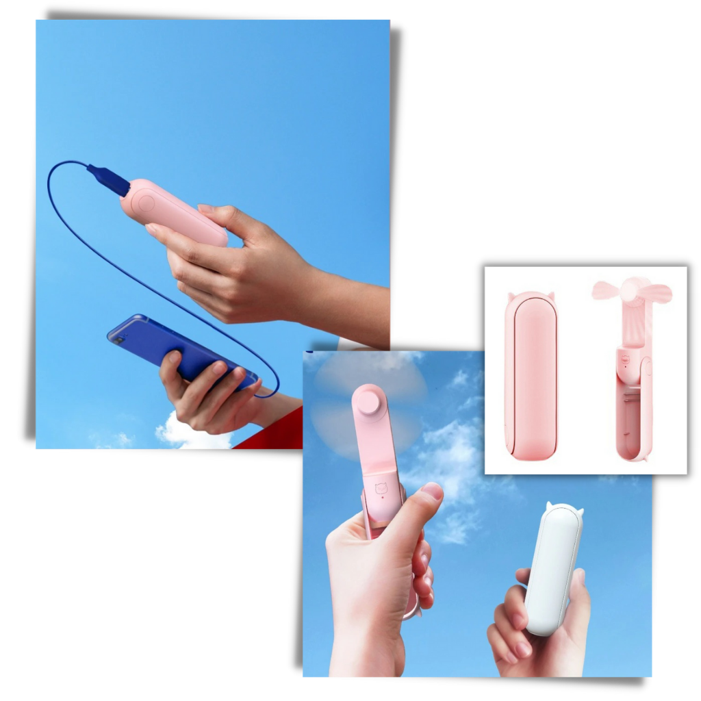 Handheld Mini Fan with USB | Bowlift