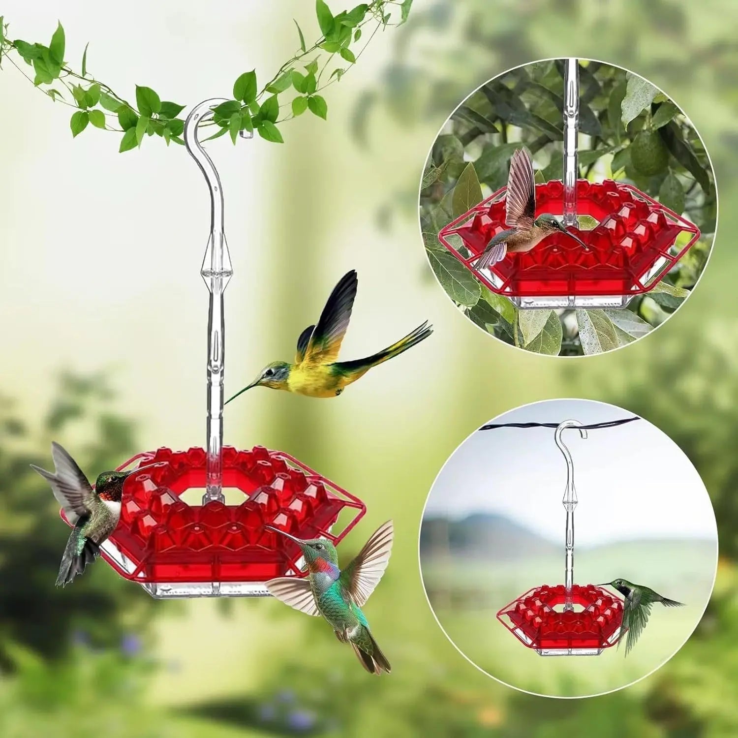 BowLift | Hanging Nectar Dispenser – Attracts Hummingbirds & Keeps Insects Away