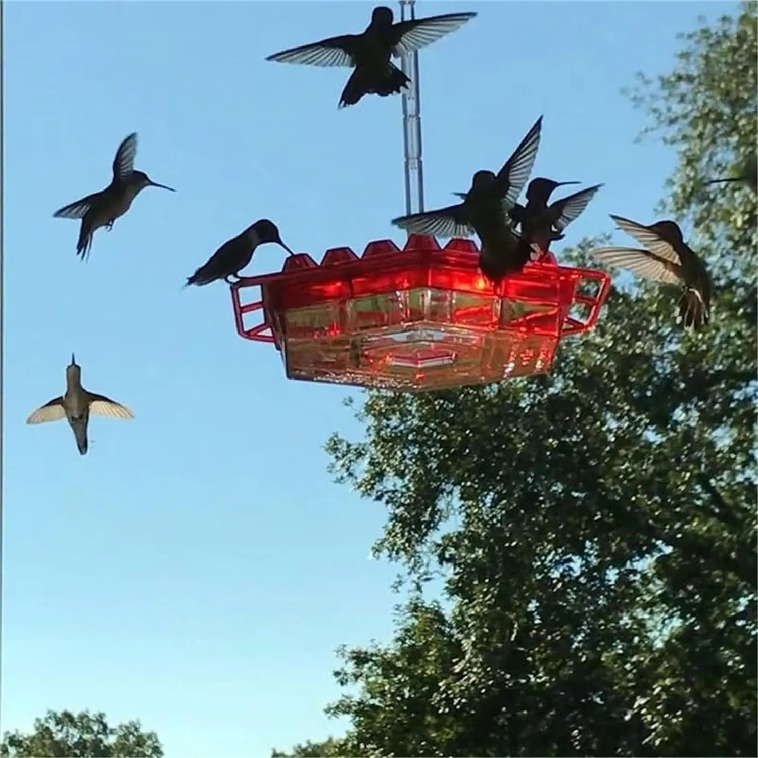 BowLift | Hanging Nectar Dispenser – Attracts Hummingbirds & Keeps Insects Away