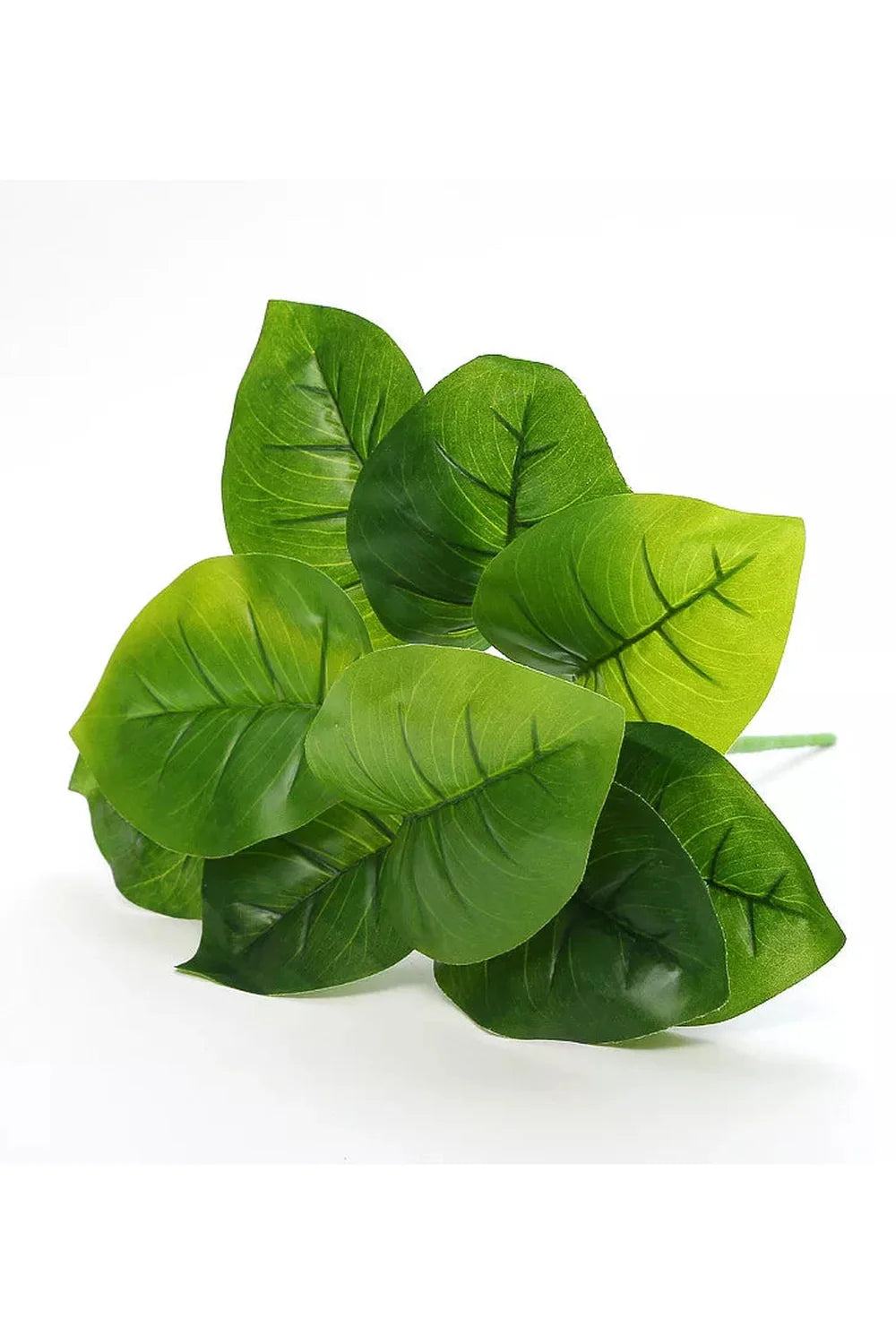 Style Artificial Plants | Bowlift