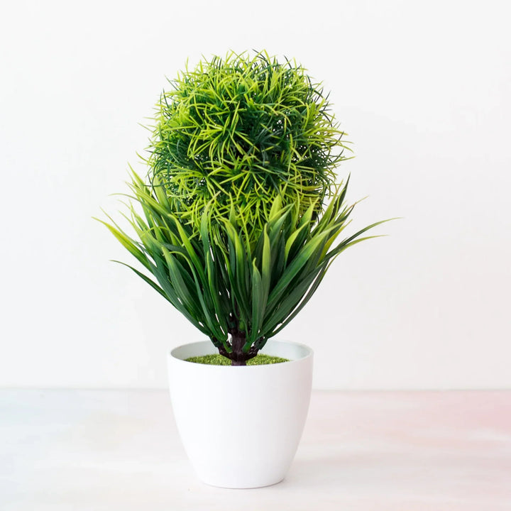BowLift | Small Tree Pot Bonsai Plants