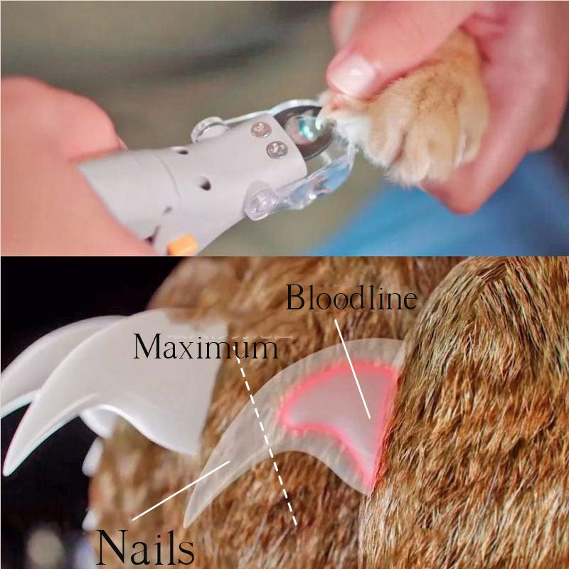 BowLift | Nail clipper for dogs | Safe toenail clipper