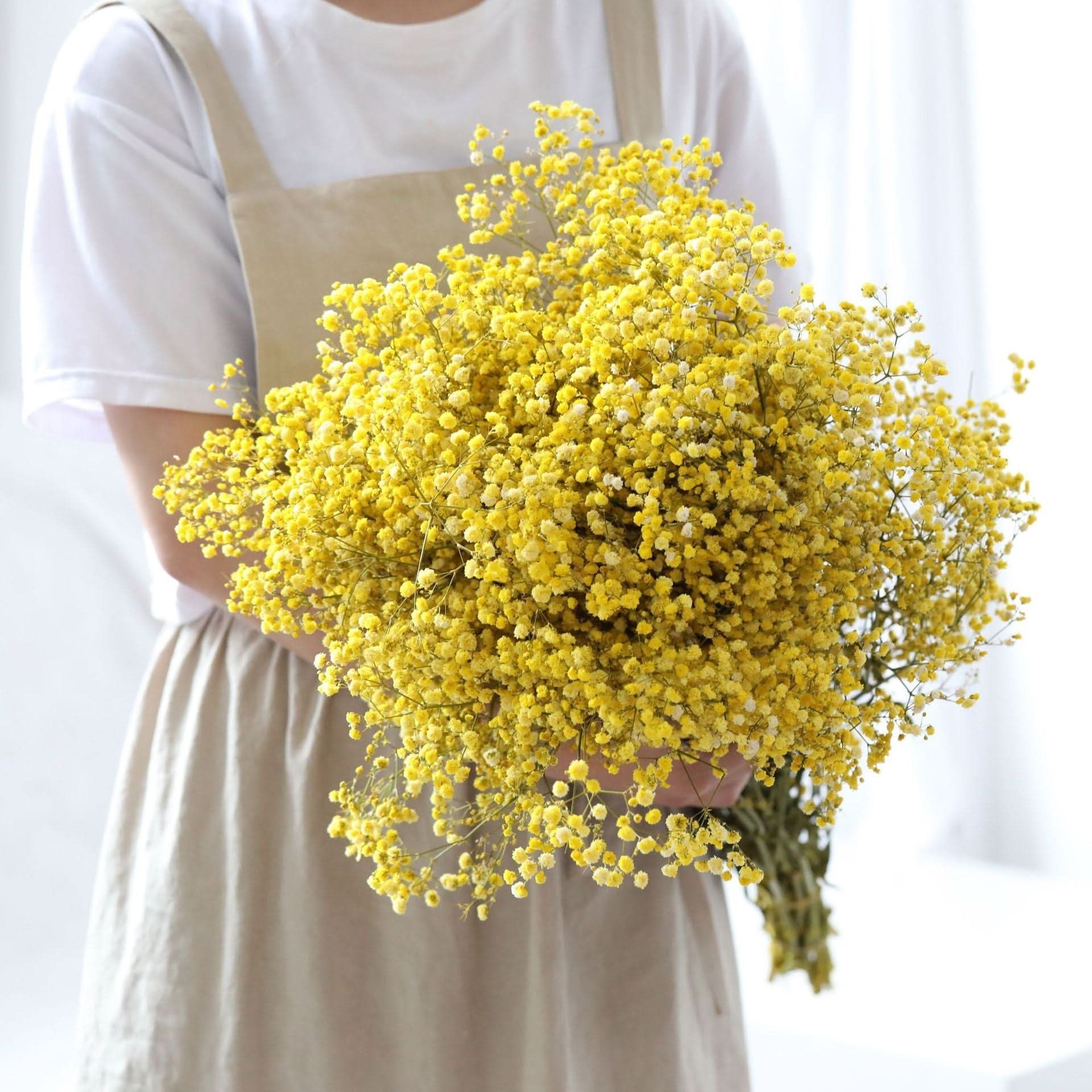BowLift | Dried Preserved Gypsophila Flower Bouquet – Natural Decor
