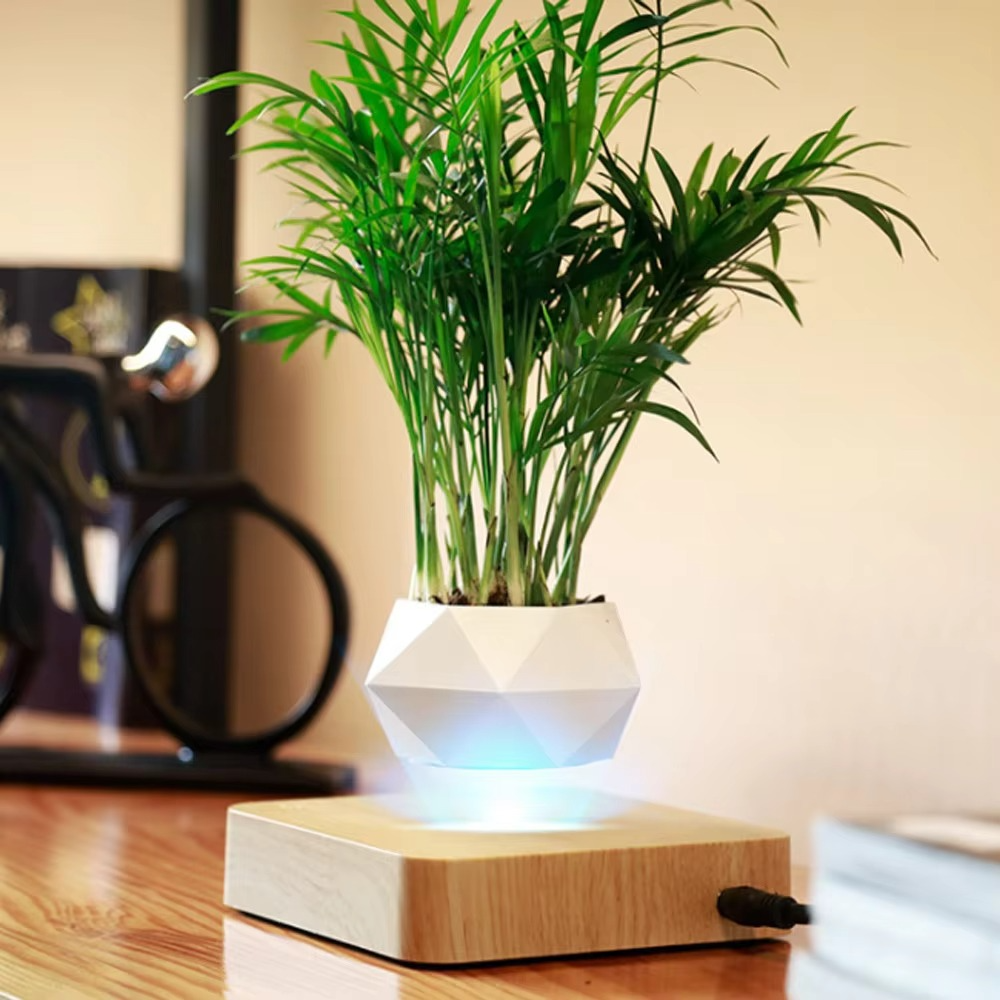 BowLift | Levitating Plant Pot – Magnetic Floating Planter