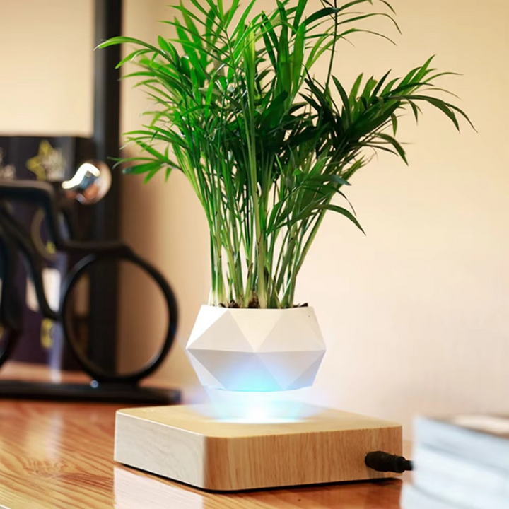 BowLift | Levitating Plant Pot – Magnetic Floating Planter