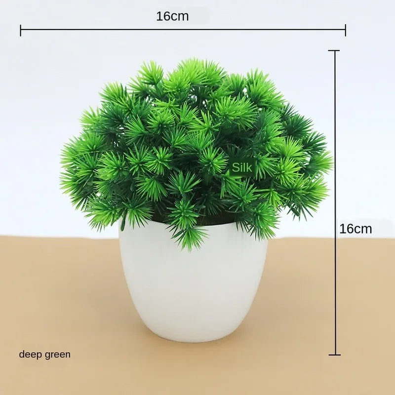 BowLift | Small Tree Pot Bonsai Plants