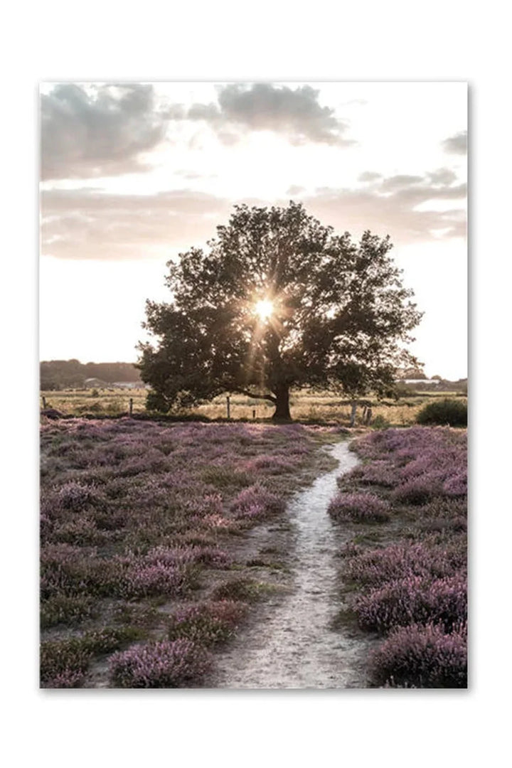 Academy Nordic Nature Canvas Poster | Bowlift