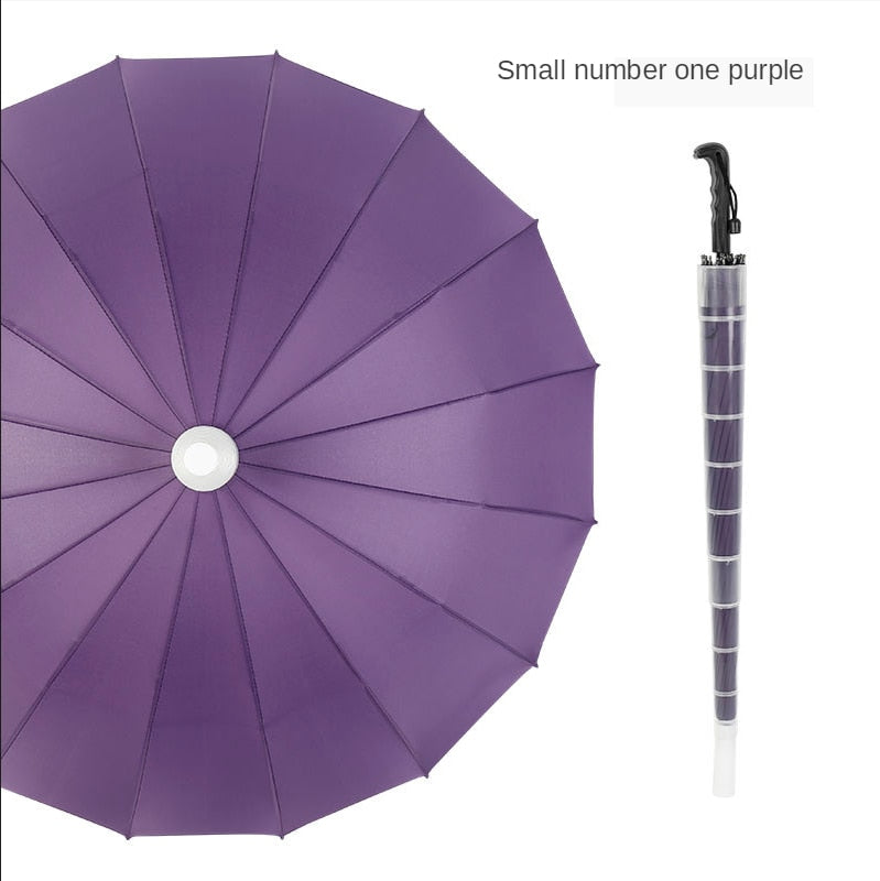 Minimalist Long Handle Automatic Umbrella | Bowlift