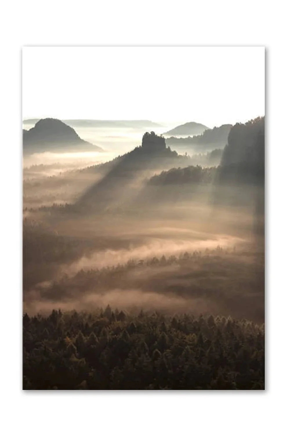 Academy Nordic Nature Canvas Poster | Bowlift