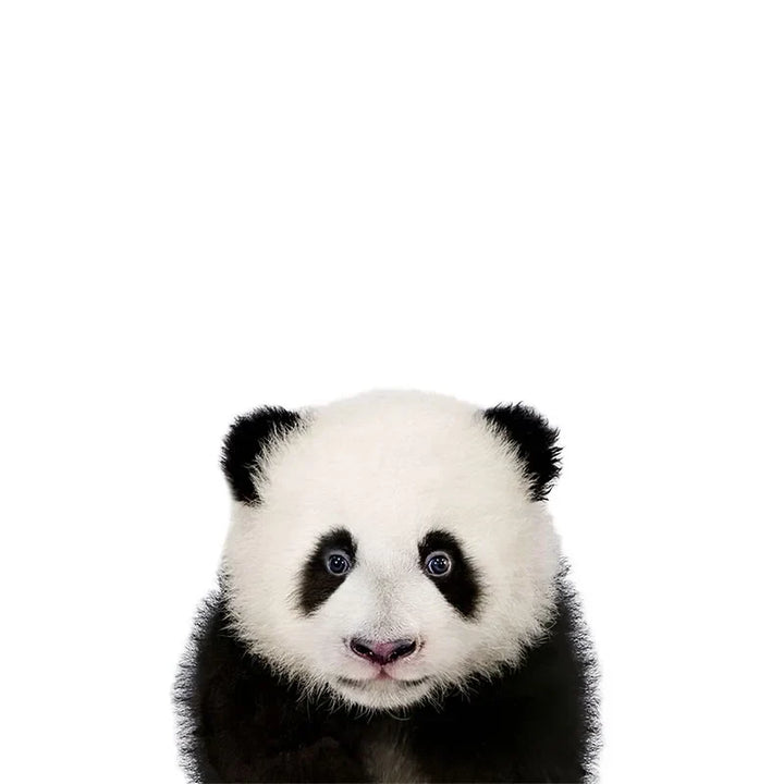 Baby Cute Animals Wall Stickers For Nursery Room Removable Peel and Stick Vinyl Wall Decals For Baby's Room Creative DIY Wall Decor | Bowlift