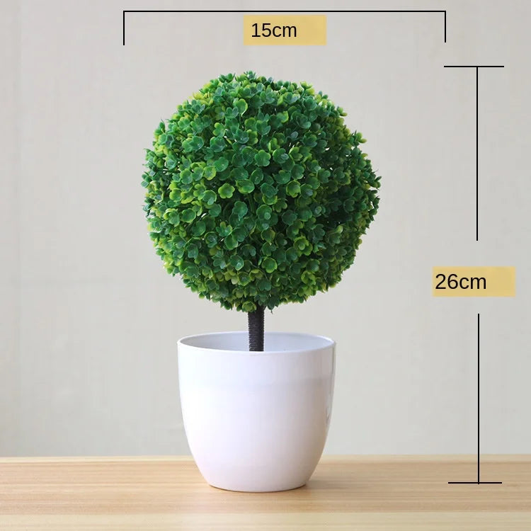 BowLift | Small Tree Pot Bonsai Plants