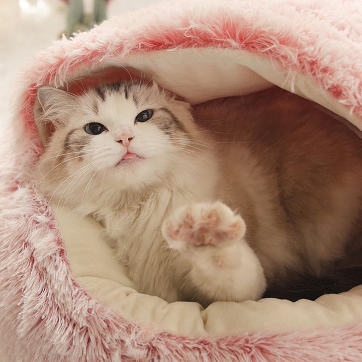 BowLift | CatHaven Luxury Feline Lounge