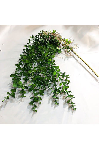 Decor | Bowlift