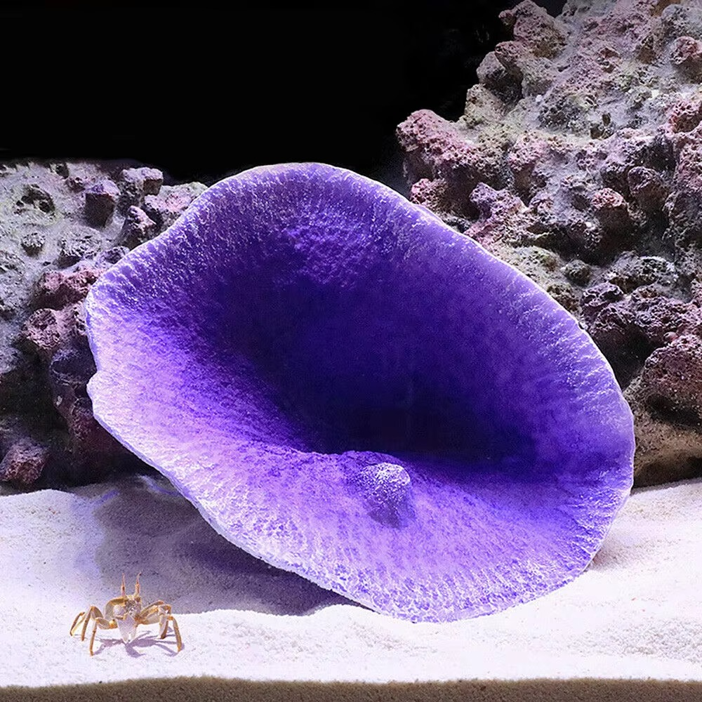 BowLift | Vibrant Resin Coral Reef Decor for Aquariums