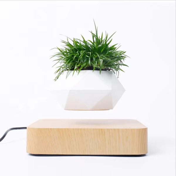 BowLift | Magnetic Levitating Bonsai Planter, Floating Flower Pot for Home and Office Décor